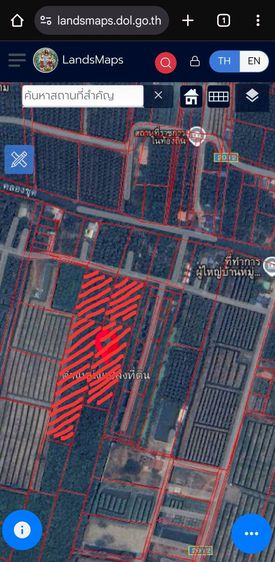  ขายที่ดินอัมพวาราคาถูก 