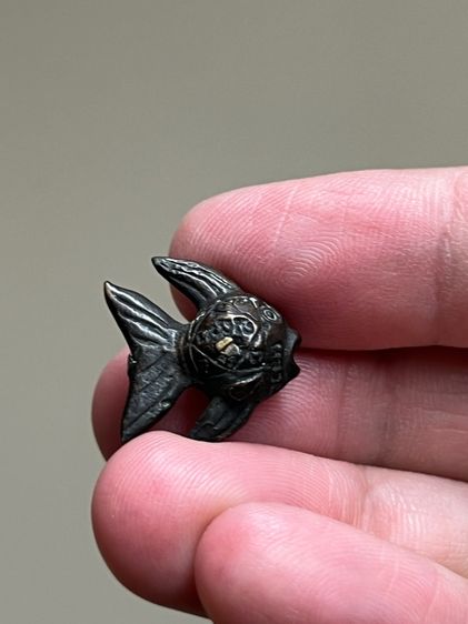 ปลาปุ้มปุ้ยหลวงปู่ทิมวัดพระขาว รูปที่ 2