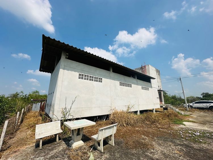 ใช่ คอนโดนกแอ่นกินรัง รูปที่ 3