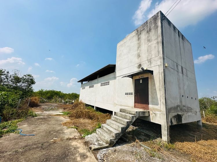 ใช่ คอนโดนกแอ่นกินรัง รูปที่ 4