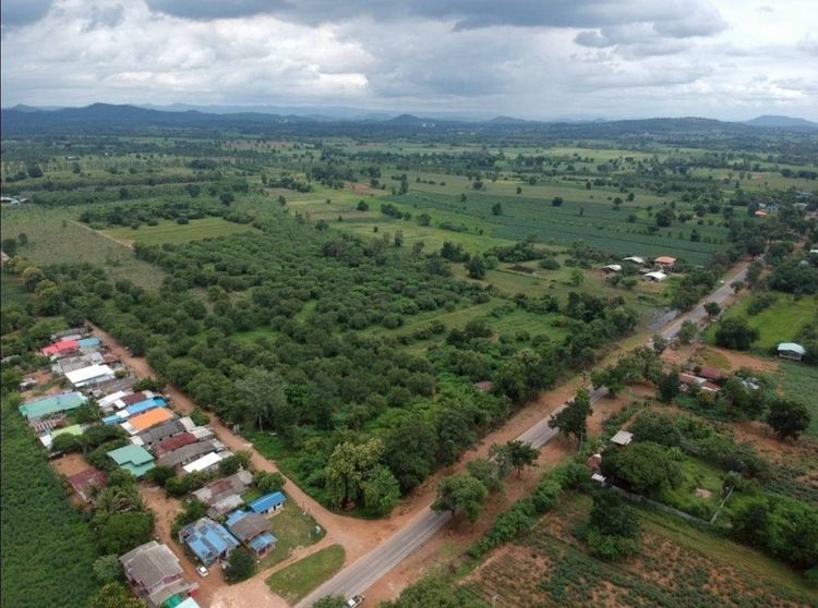 ขายที่ดิน อ.บึงสามพัน จ.เพชรบูรณ์   รูปที่ 4