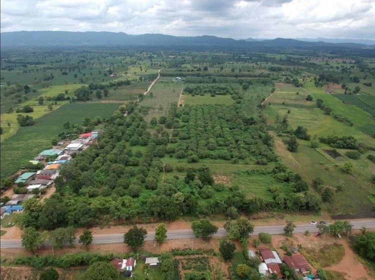 ขายที่ดิน อ.บึงสามพัน จ.เพชรบูรณ์   รูปที่ 3