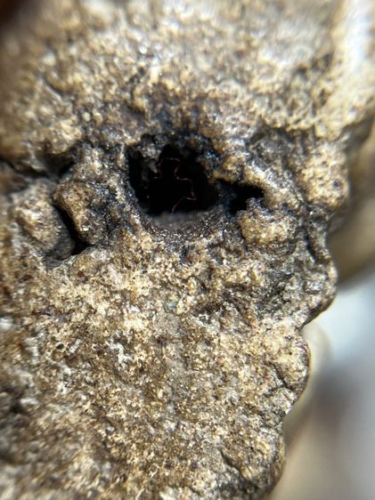 หลวงพ่อกวย วัดโฆสิตารามชัยนาท รูปที่ 13