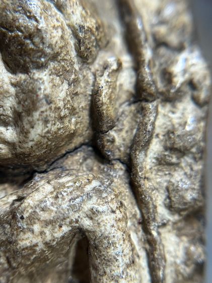 หลวงพ่อกวย วัดโฆสิตารามชัยนาท รูปที่ 11