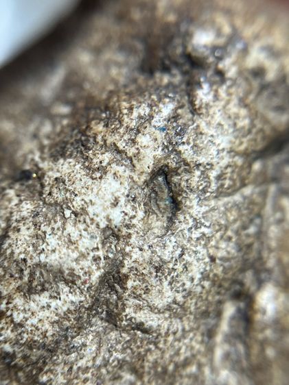 หลวงพ่อกวย วัดโฆสิตารามชัยนาท รูปที่ 15