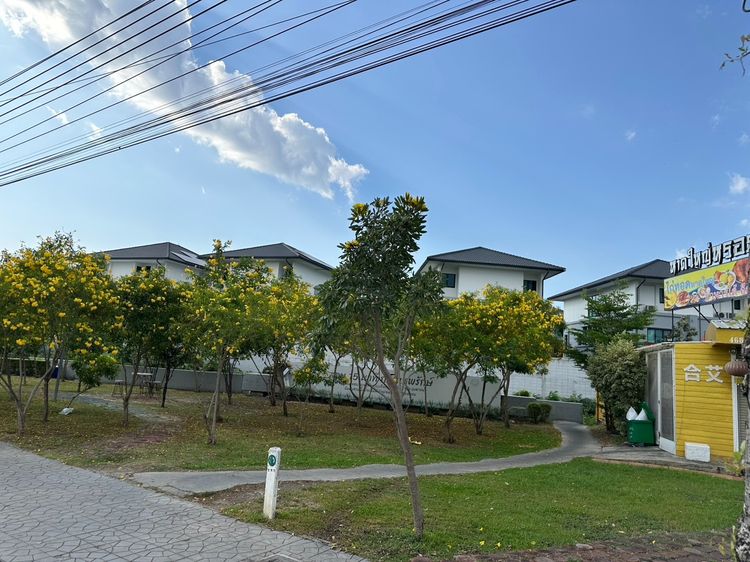 เซ้งด่วน ร้านอาหารใต้ - อีสาน ถนนเทพรักษ์ วัชรพล สะพานใหม่ ลูกค้าแน่นทุกวัน ยอดขายเฉลี่ย 300,000 บเดือน รูปที่ 3