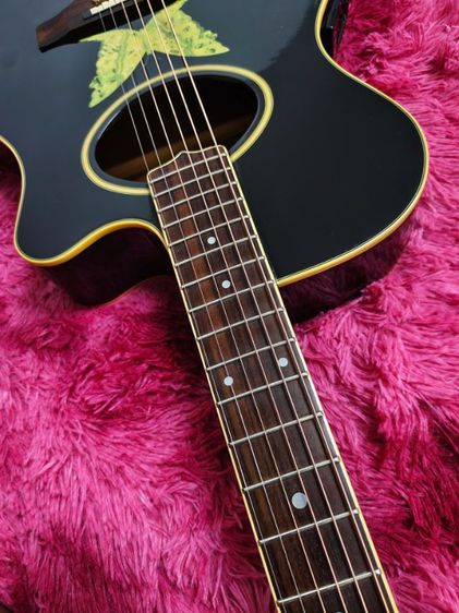 Epiphone Gibson Orville EO-2 BK รูปที่ 14