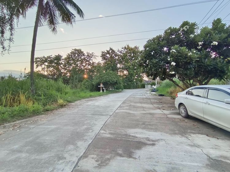 ขายที่ดินสวยพร้อมสร้างบ้าน ตรงตลาดหารแก้ว ใกล้ ม.นอร์ท-เชียงใหม่ รูปที่ 3