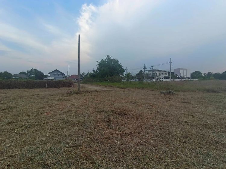 ขายที่ดินสวยพร้อมสร้างบ้าน ตรงตลาดหารแก้ว ใกล้ ม.นอร์ท-เชียงใหม่ รูปที่ 2