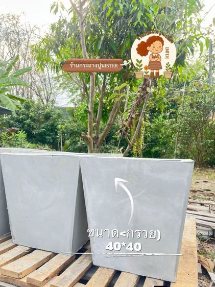กะถางปูนเปลือยอินเตอร์ รูปที่ 7