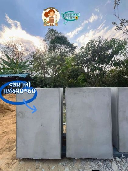 กะถางปูนเปลือยอินเตอร์ รูปที่ 5