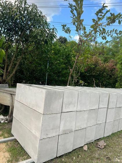 กะถางปูนเปลือยอินเตอร์ รูปที่ 4