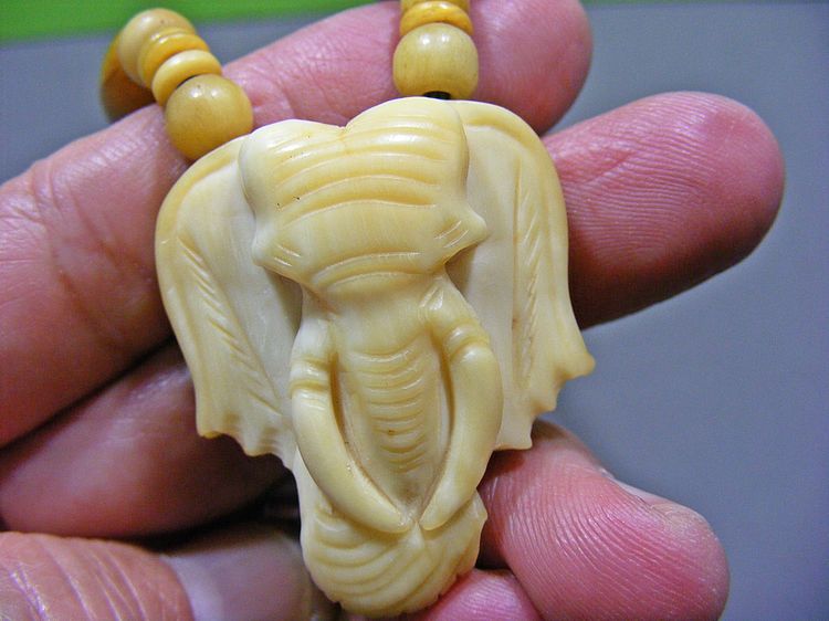  เก่าๆฉ่ำๆ ของทนสิทธิ์มีฤทธิ์ในตัวเอง เข้มขลัง สร้อยแขวนพระ รูปที่ 5