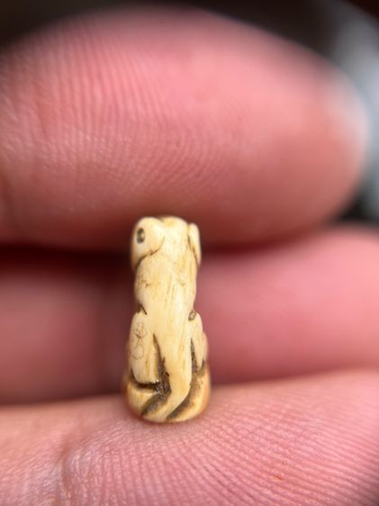 เสือ(มีสินค้าหลายรายการกดเข้ามาดูในโปรไฟล์ได้เลยครับ) รูปที่ 3