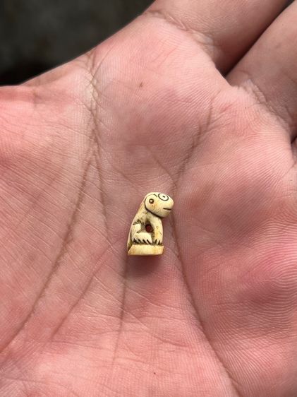 เสือ(มีสินค้าหลายรายการกดเข้ามาดูในโปรไฟล์ได้เลยครับ) รูปที่ 6