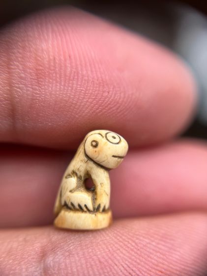 เสือ(มีสินค้าหลายรายการกดเข้ามาดูในโปรไฟล์ได้เลยครับ) รูปที่ 2