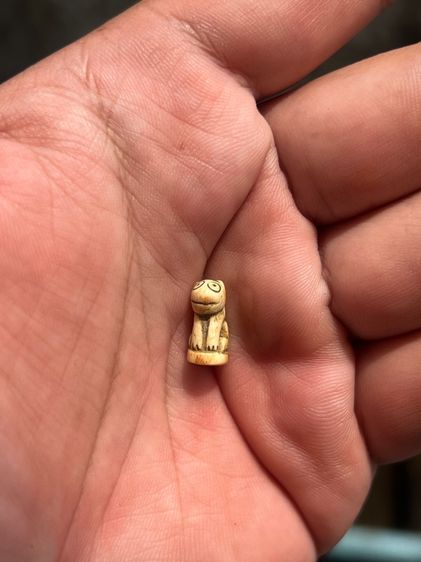 เสือ(มีสินค้าหลายรายการกดเข้ามาดูในโปรไฟล์ได้เลยครับ) รูปที่ 8