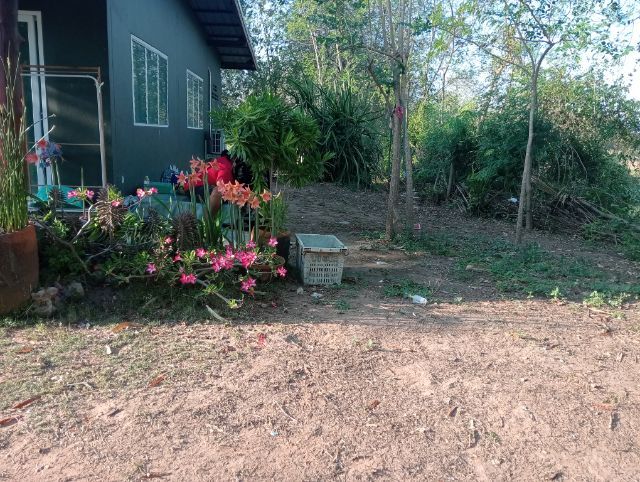 ใช่ ขายด่วน ที่ดินพร้อมบ้าน 2หลัง  2 ไร่ 85 ตรว หมู่บ้าน บ้านด่านคนคบ ต.ด่านคล้า อ.โนนสูง จ.นครราชสีมา  รูปที่ 3