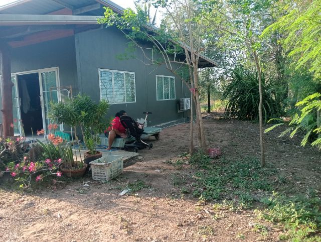 ใช่ ขายด่วน ที่ดินพร้อมบ้าน 2หลัง  2 ไร่ 85 ตรว หมู่บ้าน บ้านด่านคนคบ ต.ด่านคล้า อ.โนนสูง จ.นครราชสีมา  รูปที่ 4