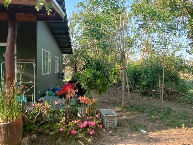 ใช่ ขายด่วน ที่ดินพร้อมบ้าน 2หลัง  2 ไร่ 85 ตรว หมู่บ้าน บ้านด่านคนคบ ต.ด่านคล้า อ.โนนสูง จ.นครราชสีมา  รูปที่ 2