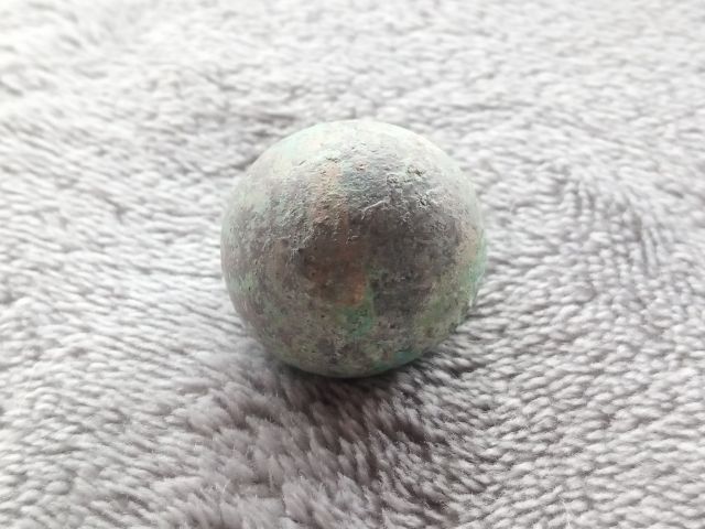 ปรอทกรอ (ตัวเมีย) รูปที่ 5