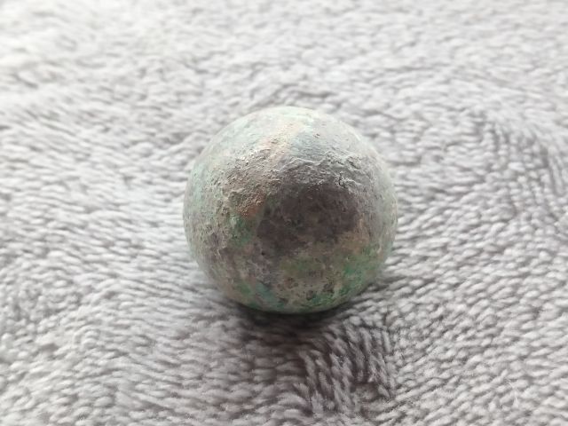 ปรอทกรอ (ตัวเมีย) รูปที่ 3