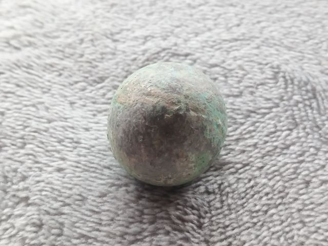 ปรอทกรอ (ตัวเมีย) รูปที่ 4