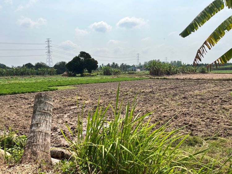 ที่ดิน 4 ไร่ โลเคชั่นบ่อทอง รูปที่ 2