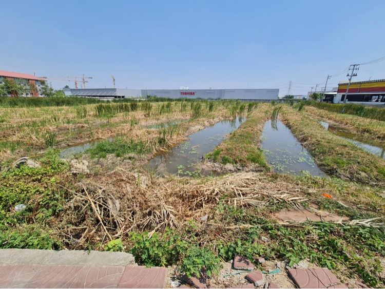 ที่ดินเปล่า ถนนติวานนท์ (นิคมบางกะดี) รูปที่ 3