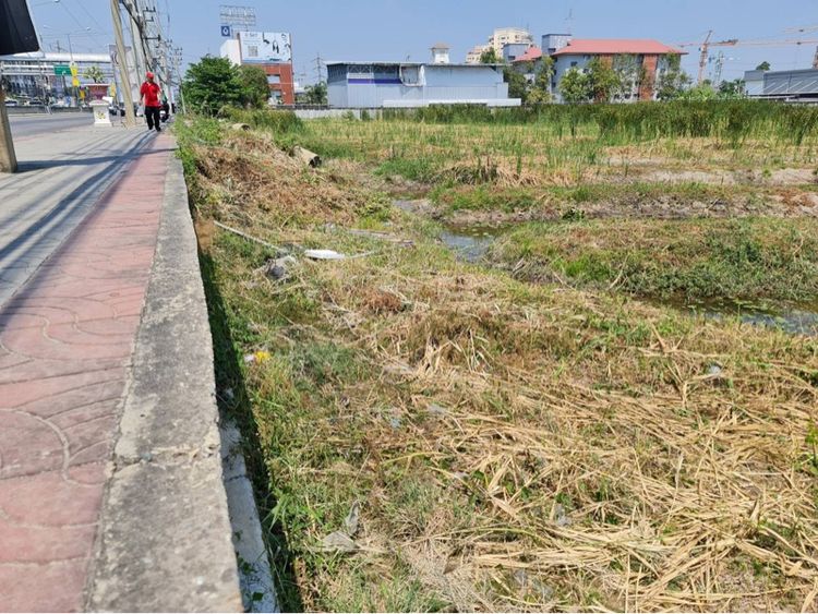 ที่ดินเปล่า ถนนติวานนท์ (นิคมบางกะดี) รูปที่ 4