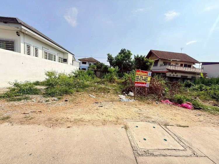 ขายด่วนที่ดินคลองสอง 50 ตรว ติดถนนคอนกรีตสาธารณะ ซ.บงกช 43 คลองหลวง ปทุมธานี รูปที่ 2