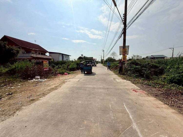 ขายด่วนที่ดินคลองสอง 50 ตรว ติดถนนคอนกรีตสาธารณะ ซ.บงกช 43 คลองหลวง ปทุมธานี รูปที่ 4