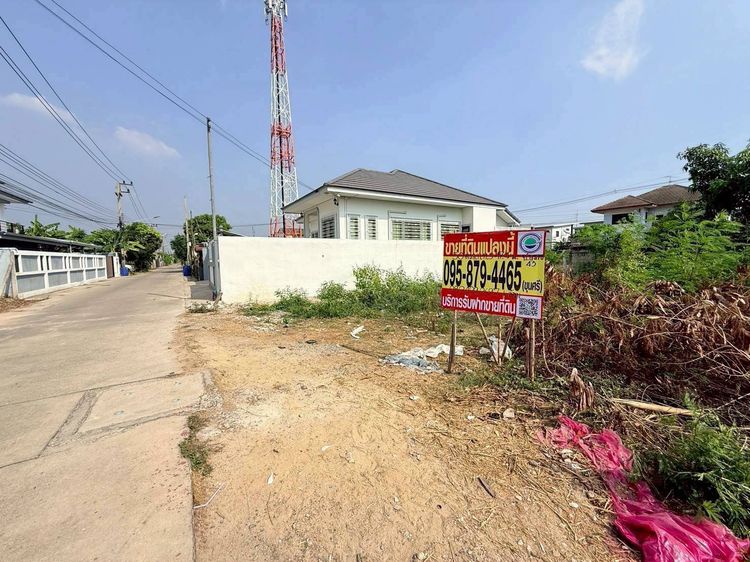 ขายด่วนที่ดินคลองสอง 50 ตรว ติดถนนคอนกรีตสาธารณะ ซ.บงกช 43 คลองหลวง ปทุมธานี รูปที่ 3