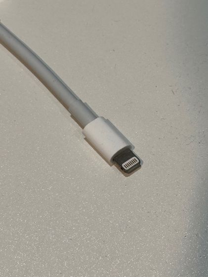 Apple Lightning to SD Card ของแท้มือสอง รูปที่ 5