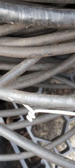 สายเมนไฟฟ้า อลูมิเนียม เบอร์25 รูปที่ 5