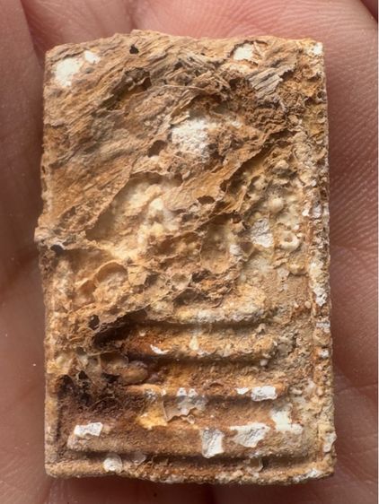 สมเด็จคราบผุ รูปที่ 8