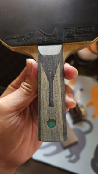 ไม้ปิงปอง Timo boll ALC รูปที่ 8