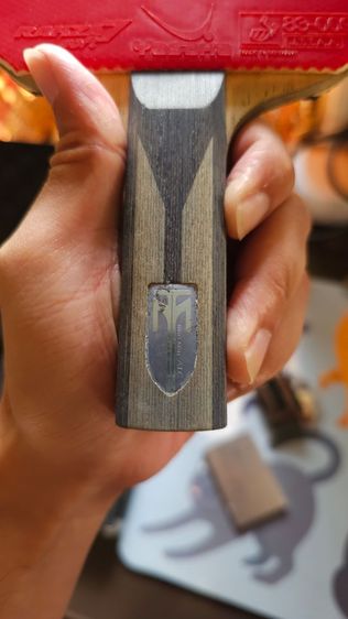 ไม้ปิงปอง Timo boll ALC รูปที่ 5