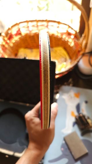 ไม้ปิงปอง Timo boll ALC รูปที่ 4