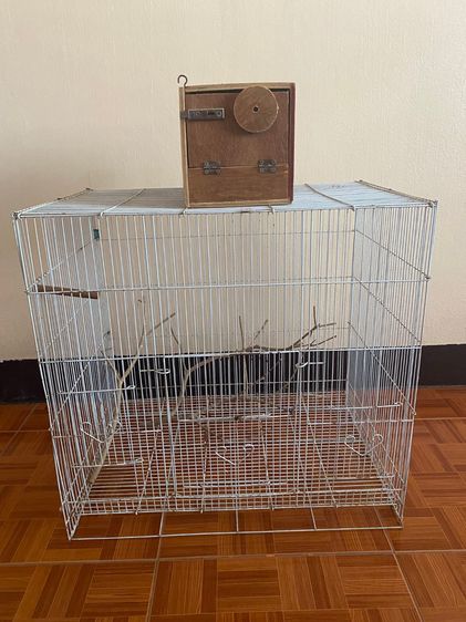 กรงนก 40 60 แถมรังเพาะ สภาพดี พร้อมใช้งาน รูปที่ 2