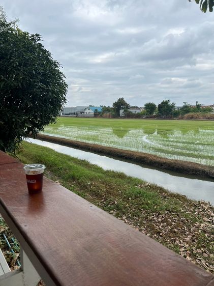 เซ้งร้านกาแฟด่วน 290,000 ให้ทั้งร้าน พร้อมวิวหลักล้าน รูปที่ 2