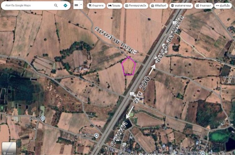 ขาวที่ดินโคราช  รูปที่ 2