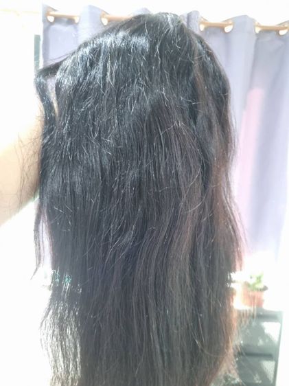 ฮาฟวิกครึ่งหัวผมแท้  รูปที่ 2