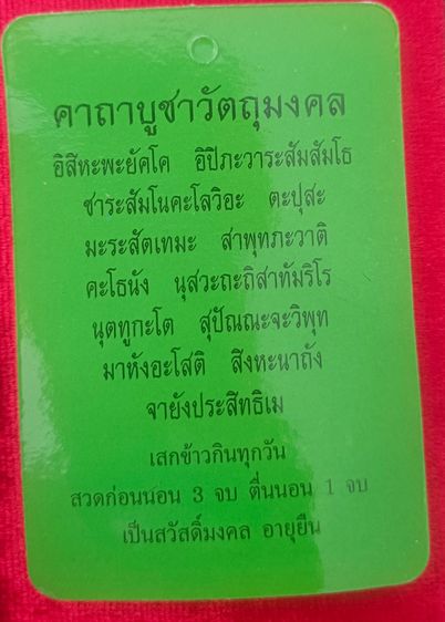 เบี้ยแก้ 63 พอกผงพุทธคุณ รูปที่ 9