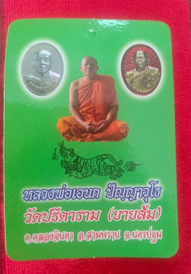 เบี้ยแก้ 63 พอกผงพุทธคุณ รูปที่ 8