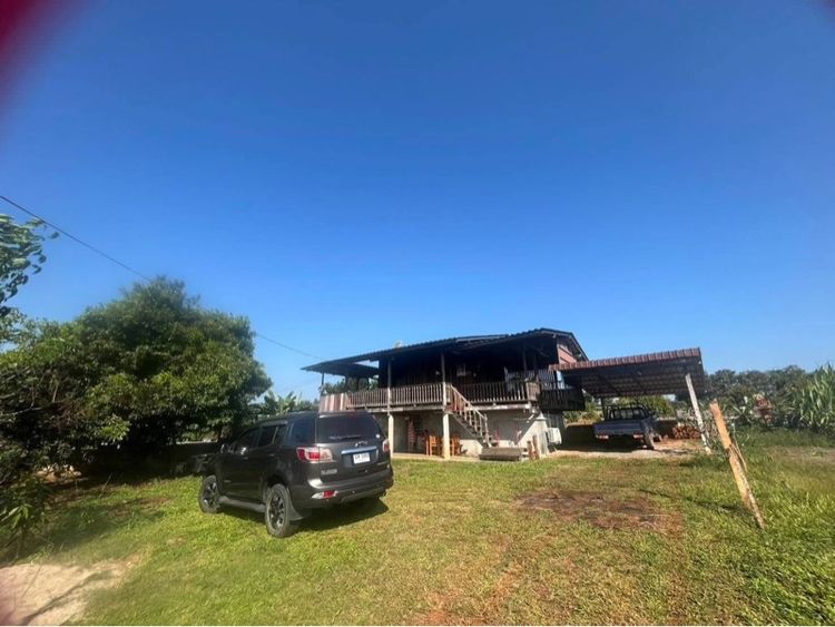 ไม่มี 2023 บ้านพร้อมที่ดิน