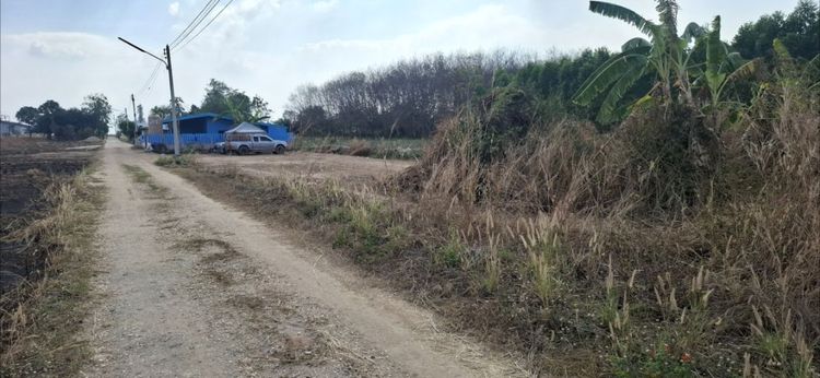 ประกาศขายที่ดิน 2 งาน ที่สูง ไม่ต้องถม น้ำไฟ พร้อม ปลูกบ้านเป็นธรรมชาติก็ดี ทำเป็นห้องแถว ก็ดี อยู่ใกล้นิคม CP Digital Valley รูปที่ 2