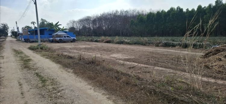 ประกาศขายที่ดิน 2 งาน ที่สูง ไม่ต้องถม น้ำไฟ พร้อม ปลูกบ้านเป็นธรรมชาติก็ดี ทำเป็นห้องแถว ก็ดี อยู่ใกล้นิคม CP Digital Valley รูปที่ 3