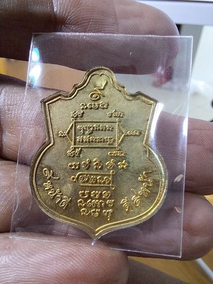 เหรียญก้าวหน้าดี หลวงปู่หงษ์ วัดทุ่งหนองมนต์ 2554 รูปที่ 3