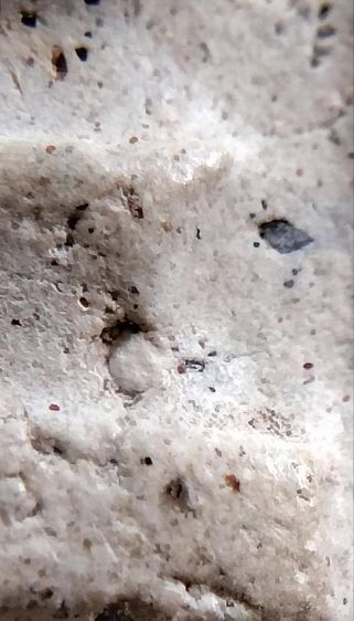 พระสมเด็จ วัดระฆัง บางขุนพรหม วัดเกศไชโย หลวงปู่ภู หลวงปู่นาค รูปที่ 18